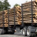 Châtaignier en Grume Camion de 50 Stères